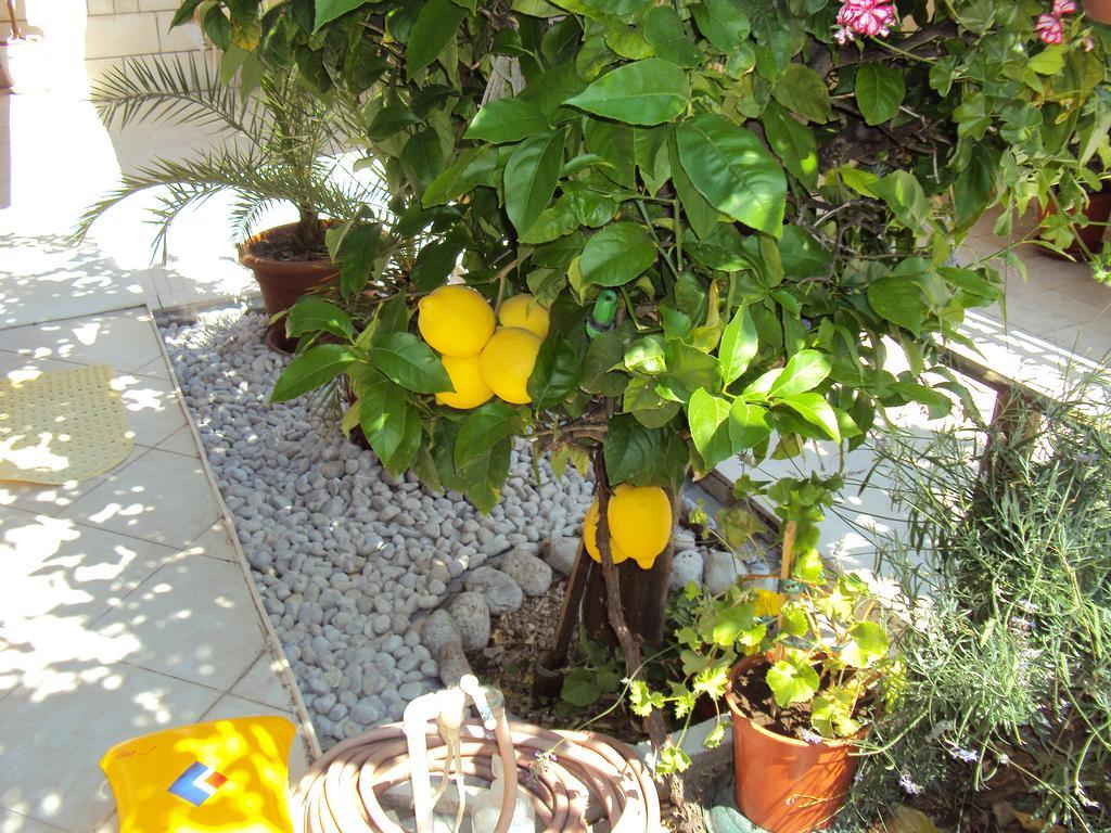 Apartment Lemon Dubrovnik Bagian luar foto